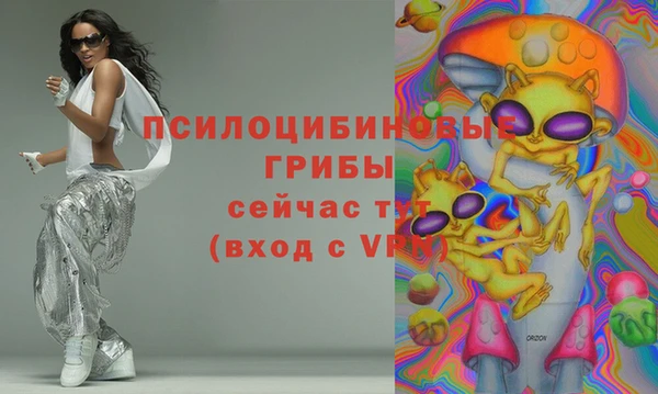 стаф Белоозёрский